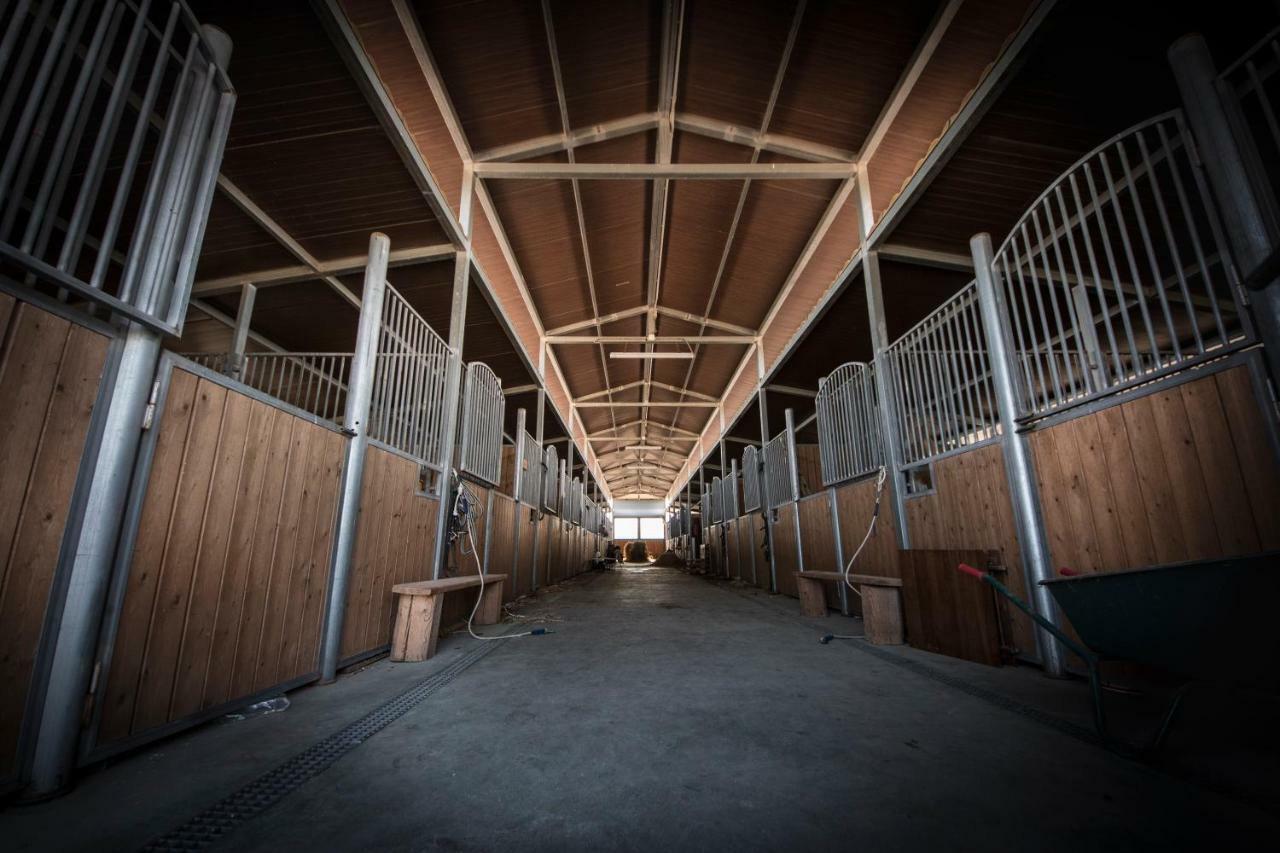 Villaggio San Demetrio Séjour à la ferme Carlentini