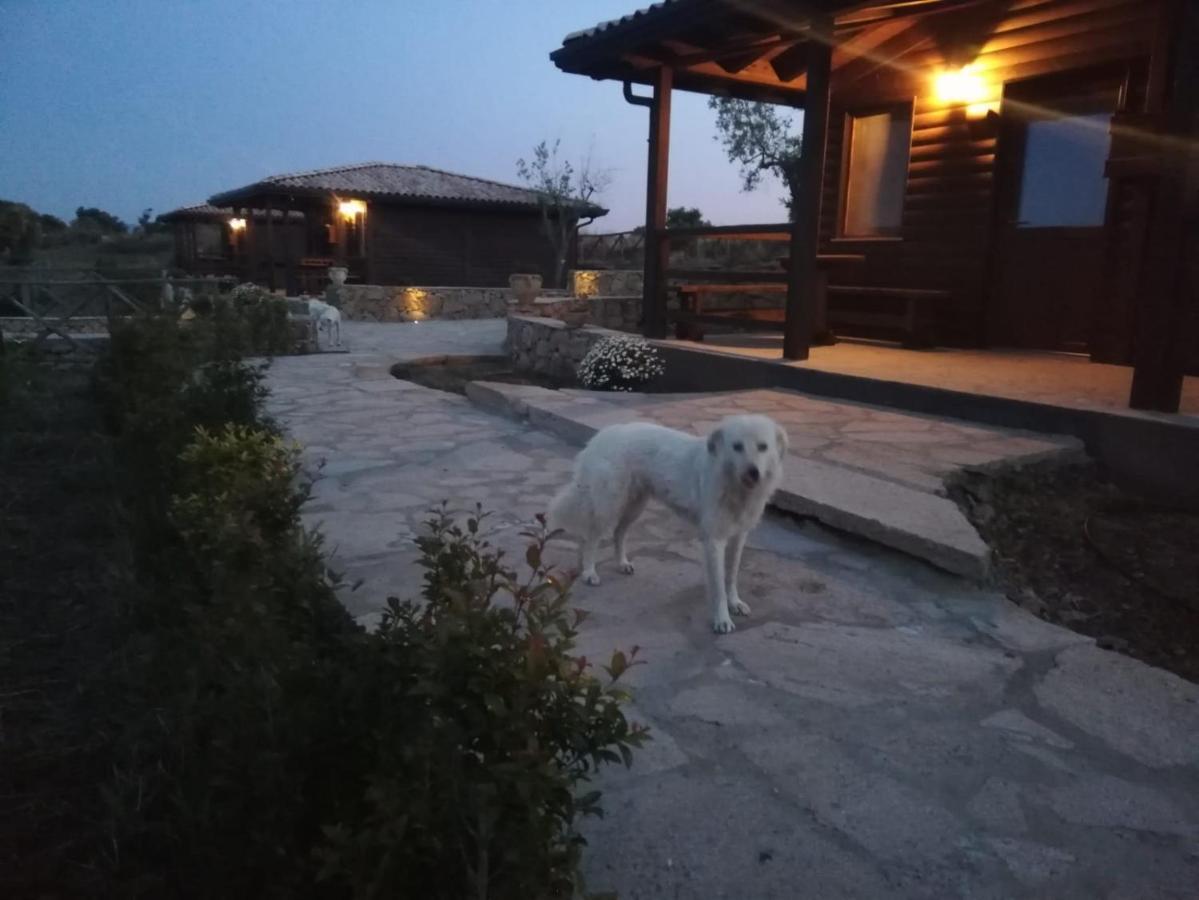 Villaggio San Demetrio Séjour à la ferme Carlentini
